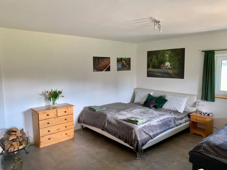 Apartment Tour Bohemian Switzerland Horni Podluzi エクステリア 写真