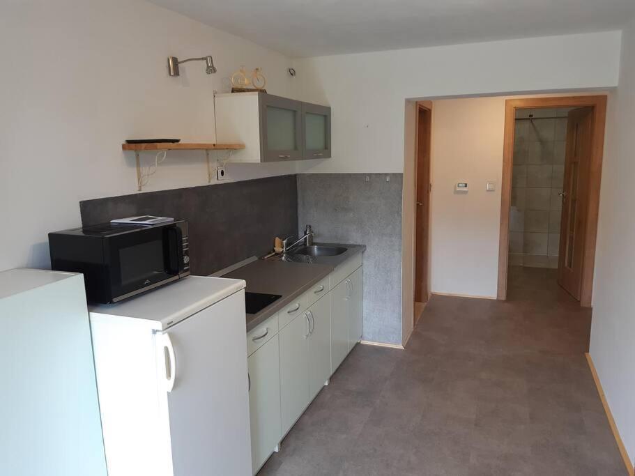 Apartment Tour Bohemian Switzerland Horni Podluzi エクステリア 写真