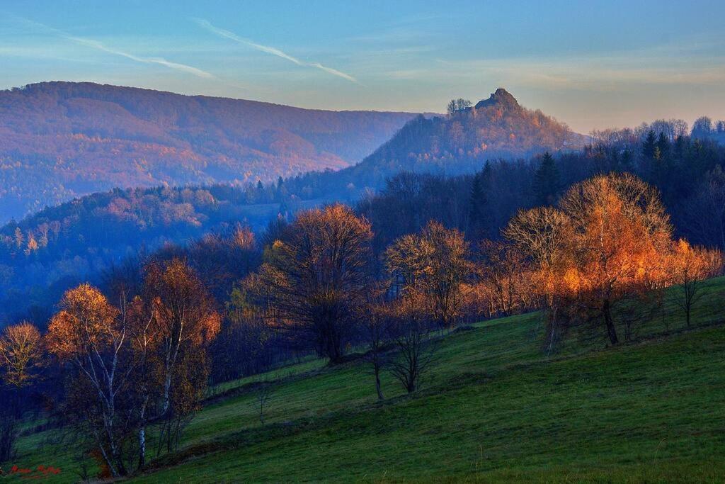 Apartment Tour Bohemian Switzerland Horni Podluzi エクステリア 写真